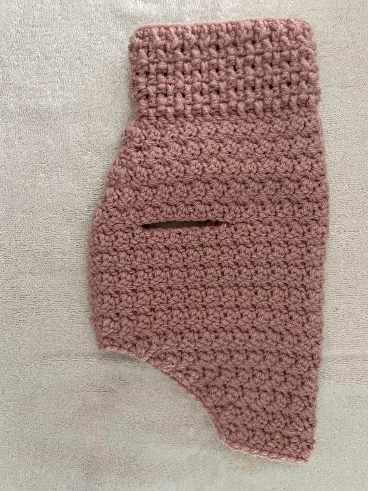 Dog Pinky sweater (small)