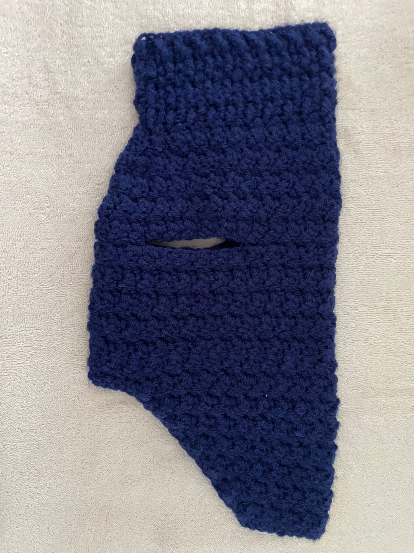 Dog Navy Blue Sweater (small)